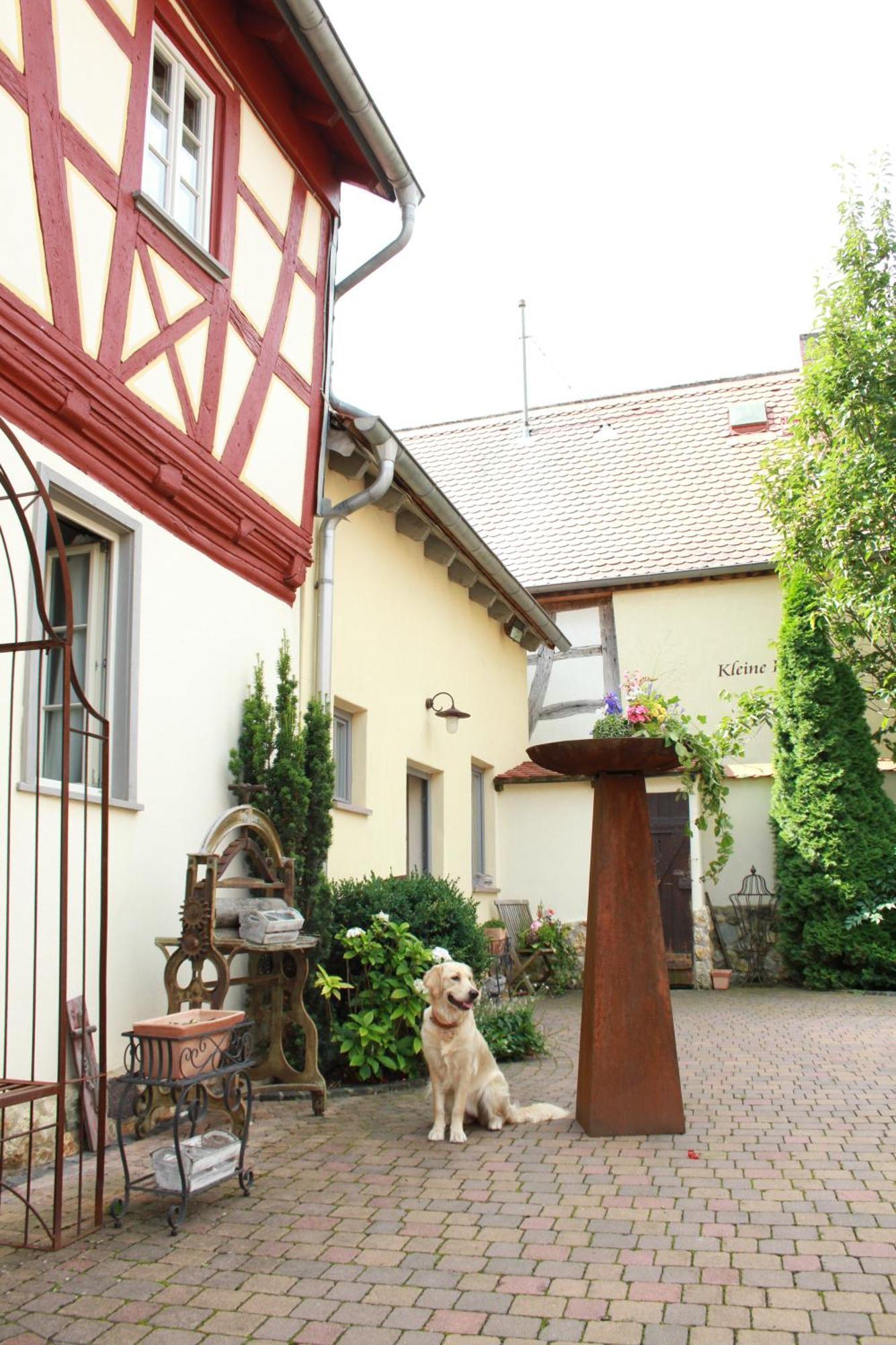 Kleine Residenz Am Schloss Hochheim am Main Bagian luar foto